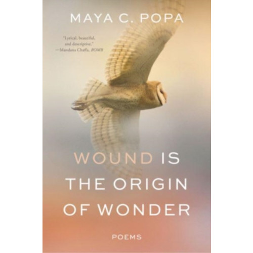 W. W. Norton & Company Wound Is the Origin of Wonder (häftad, eng)