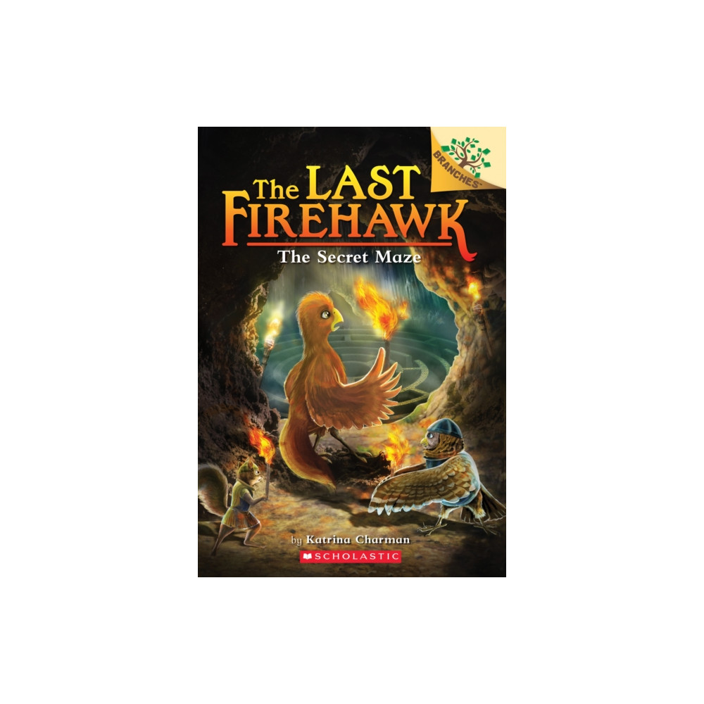 Produktbild för The Secret Maze: A Branches Book (The Last Firehawk #10) (häftad, eng)