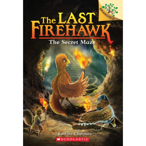 Not Stated The Secret Maze: A Branches Book (The Last Firehawk #10) (häftad, eng)