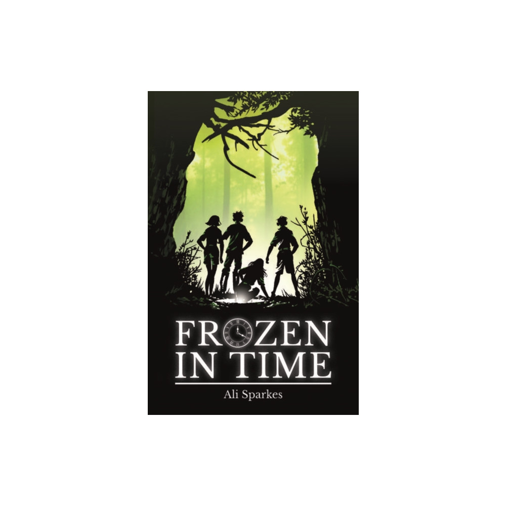 Produktbild för Rollercoasters: Frozen in Time (häftad, eng)