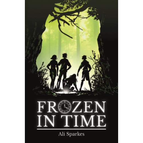 Not Stated Rollercoasters: Frozen in Time (häftad, eng)
