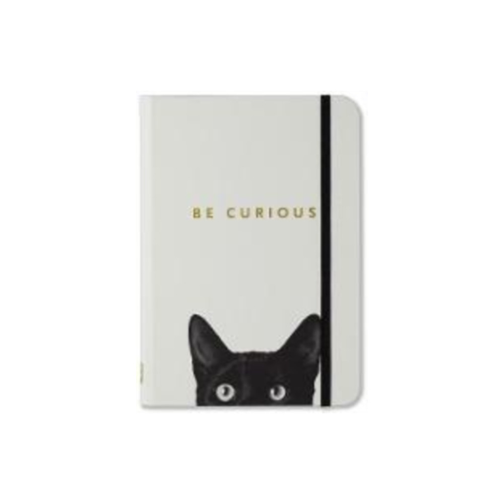 Produktbild för SM CURIOUS CAT JOURNAL (häftad, eng)