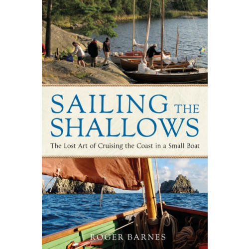 Bloomsbury Publishing PLC Sailing the Shallows (häftad, eng)