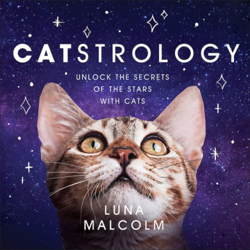Not Stated Catstrology (häftad, eng)