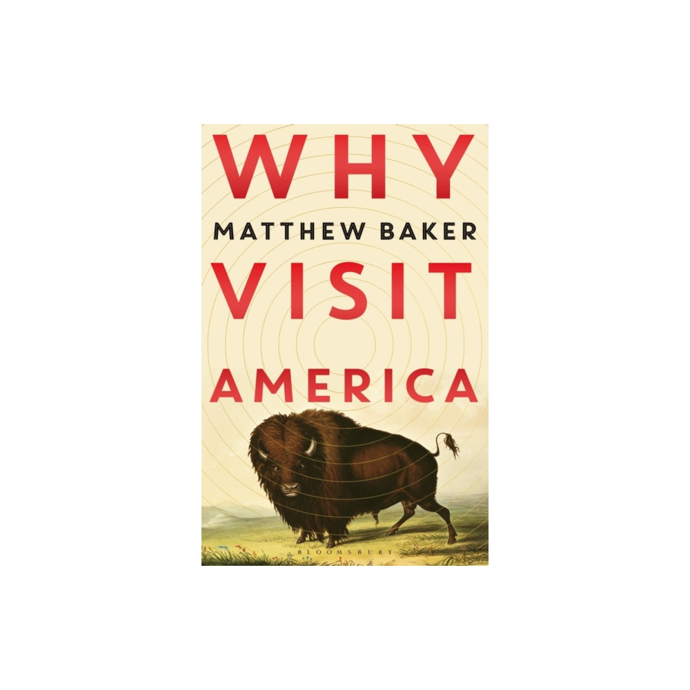 Produktbild för Why Visit America (häftad, eng)