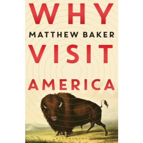 Not Stated Why Visit America (häftad, eng)