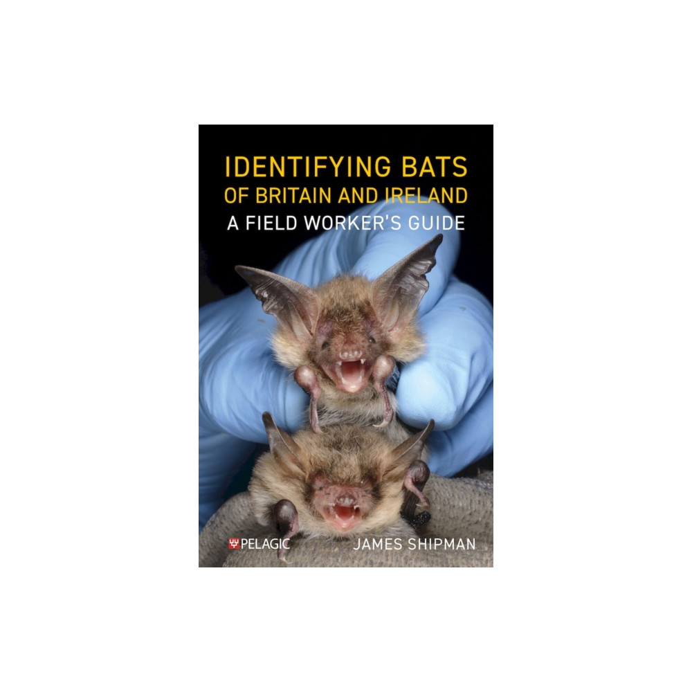 Produktbild för Identifying Bats of Britain and Ireland (häftad, eng)