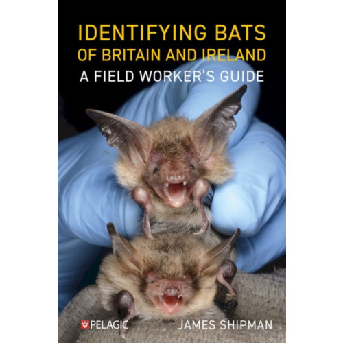 Pelagic Publishing Identifying Bats of Britain and Ireland (häftad, eng)