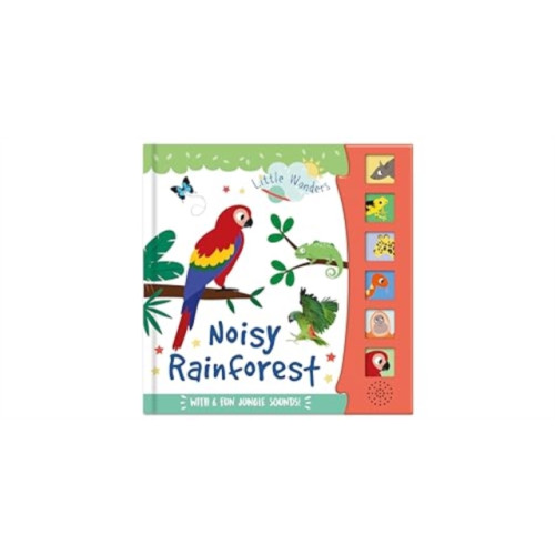 North Parade Publishing Noisy Rainforest (häftad, eng)