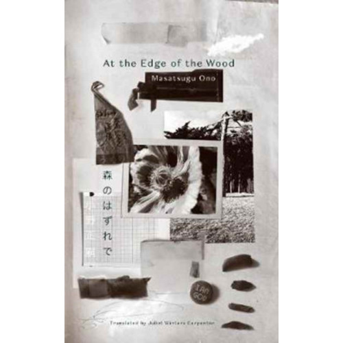 UEA Publishing Project Keshiki 6 (häftad, eng)