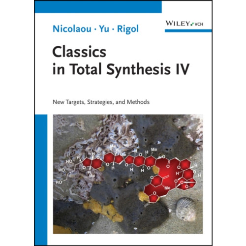 Wiley-VCH Verlag GmbH Classics in Total Synthesis IV (häftad, eng)