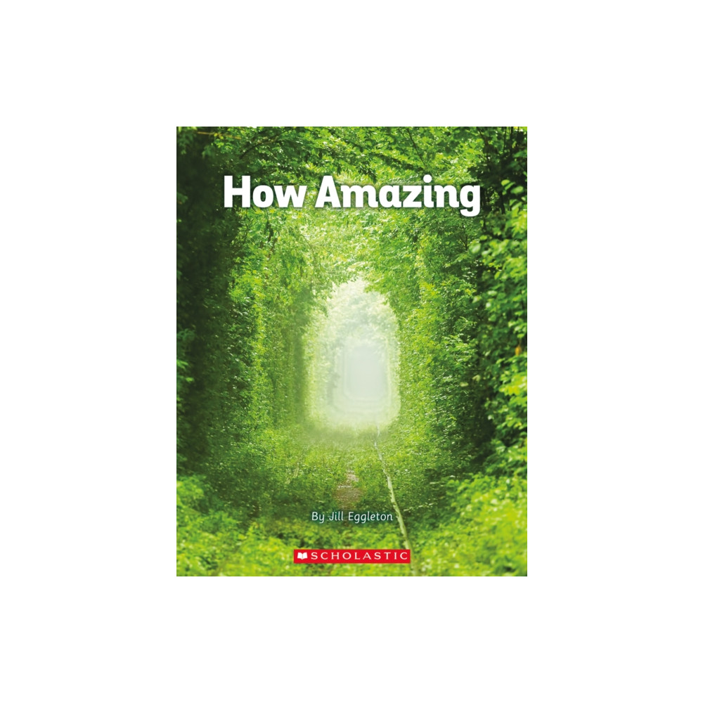 Produktbild för HOW AMAZING (häftad, eng)