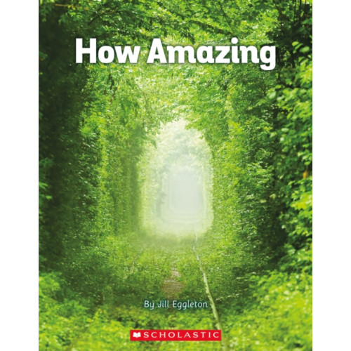 SCHOLASTIC LTD HOW AMAZING (häftad, eng)