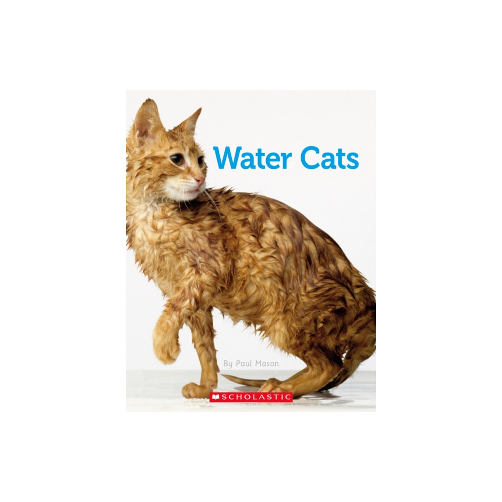 Produktbild för CONNECTORS SILVER WATER CATS (häftad, eng)