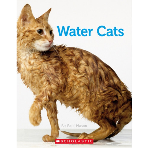 SCHOLASTIC LTD CONNECTORS SILVER WATER CATS (häftad, eng)