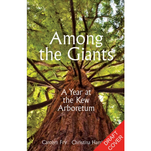 Octopus publishing group Among the Giants (inbunden, eng)