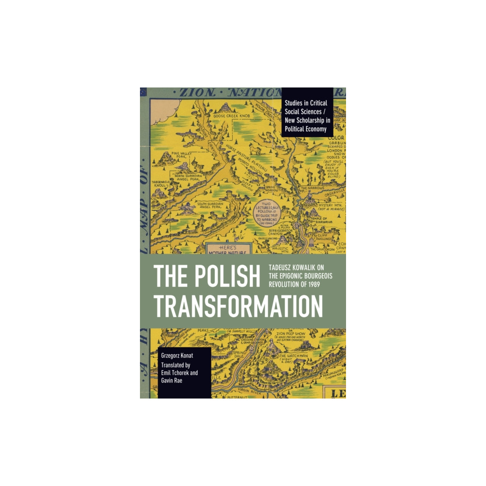 Produktbild för The Polish Transformation (häftad, eng)