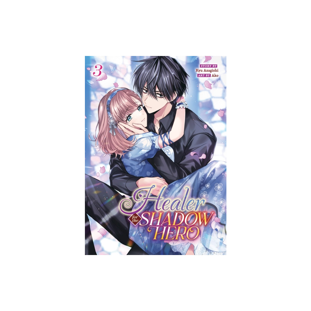 Produktbild för Healer for the Shadow Hero (Manga) Vol. 3 (häftad, eng)
