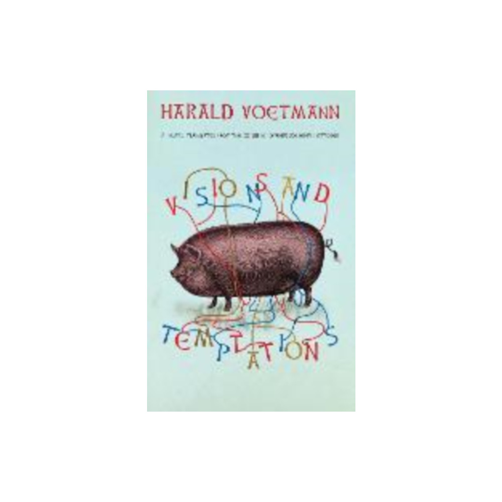 Produktbild för Visions and Temptations (häftad, eng)