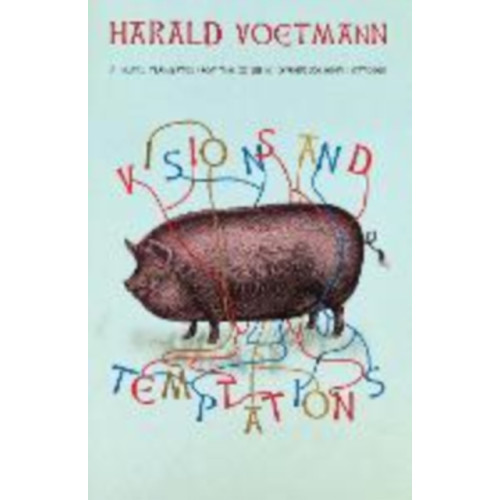 New Directions Visions and Temptations (häftad, eng)