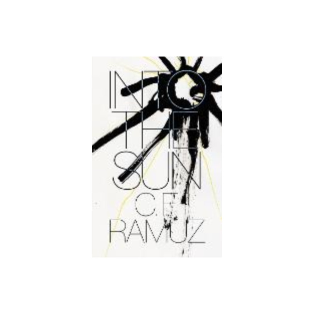 Produktbild för Into the Sun (häftad, eng)