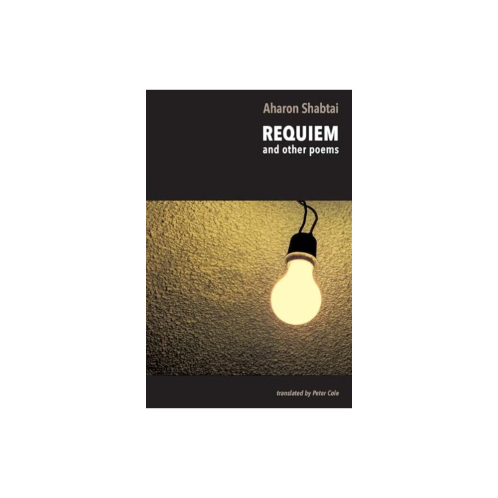 Produktbild för Requiem (häftad, eng)