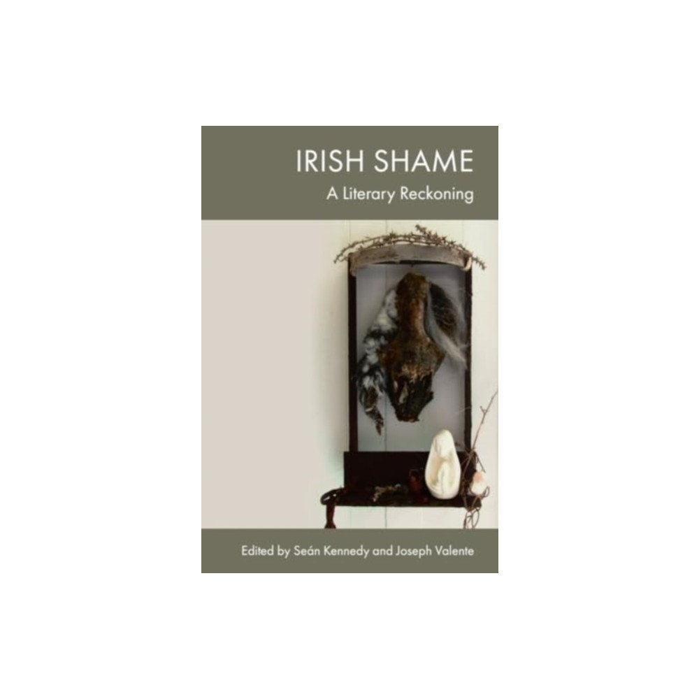 Produktbild för Irish Shame (inbunden, eng)