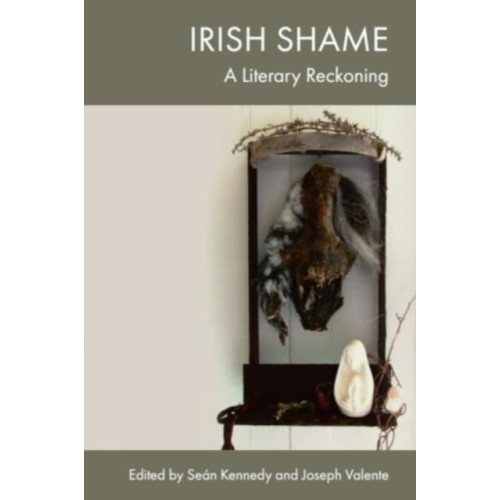 Edinburgh university press Irish Shame (inbunden, eng)
