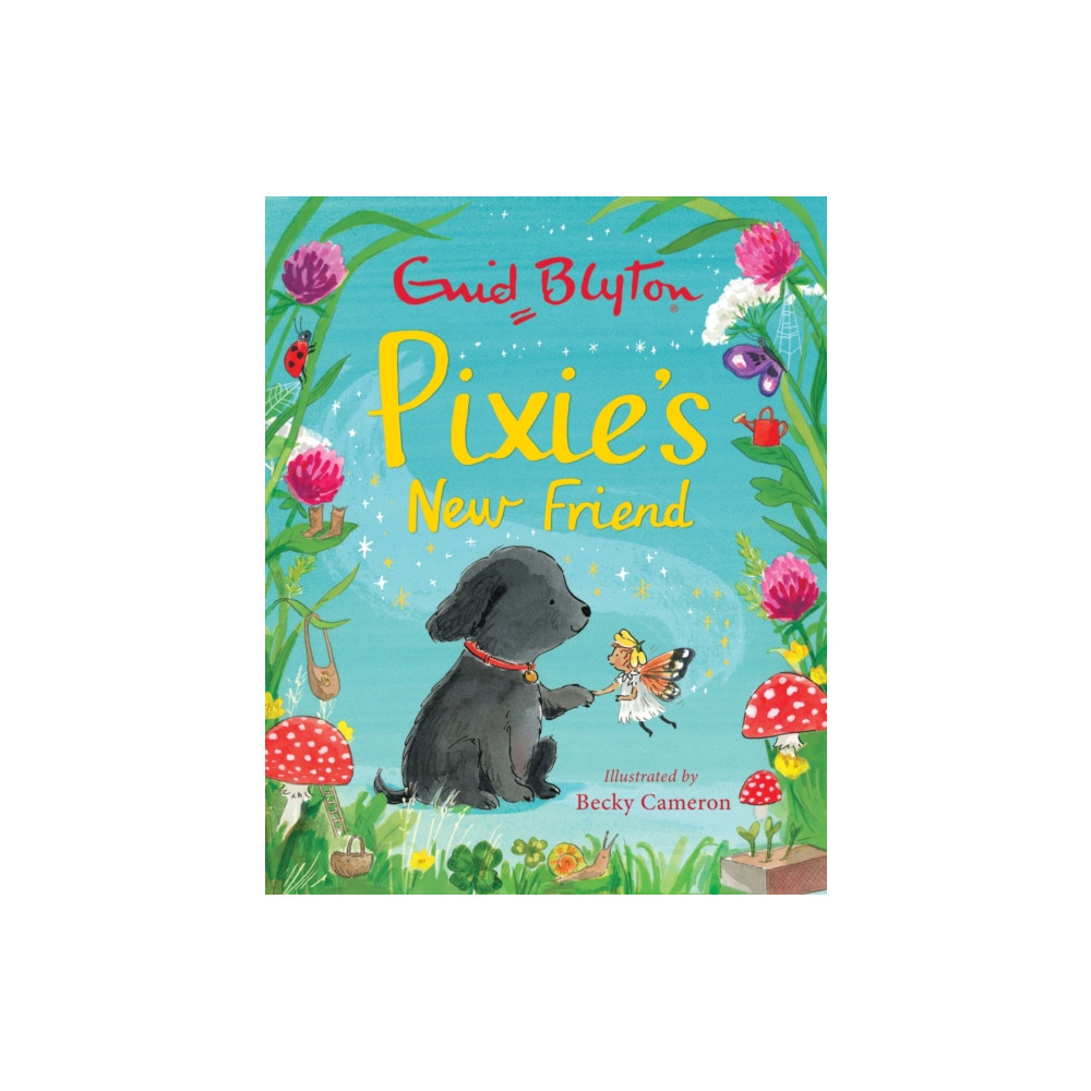 Produktbild för Pixie's New Friend (häftad, eng)