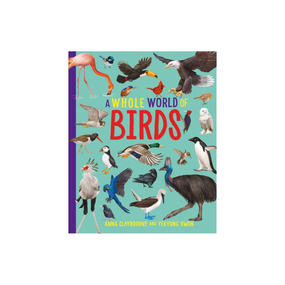 Produktbild för A Whole World of...: Birds (häftad, eng)