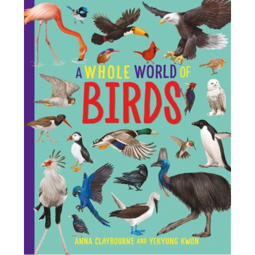 Hachette Children's Group A Whole World of...: Birds (häftad, eng)