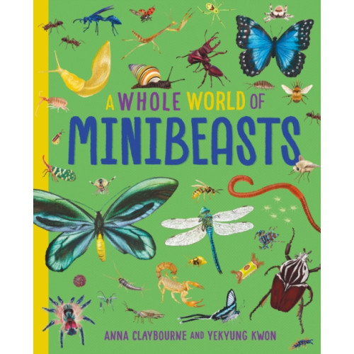 Hachette Children's Group A Whole World of...: Minibeasts (häftad, eng)