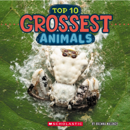 Not Stated Grossest Animals (Wild World: Top 10) (häftad, eng)