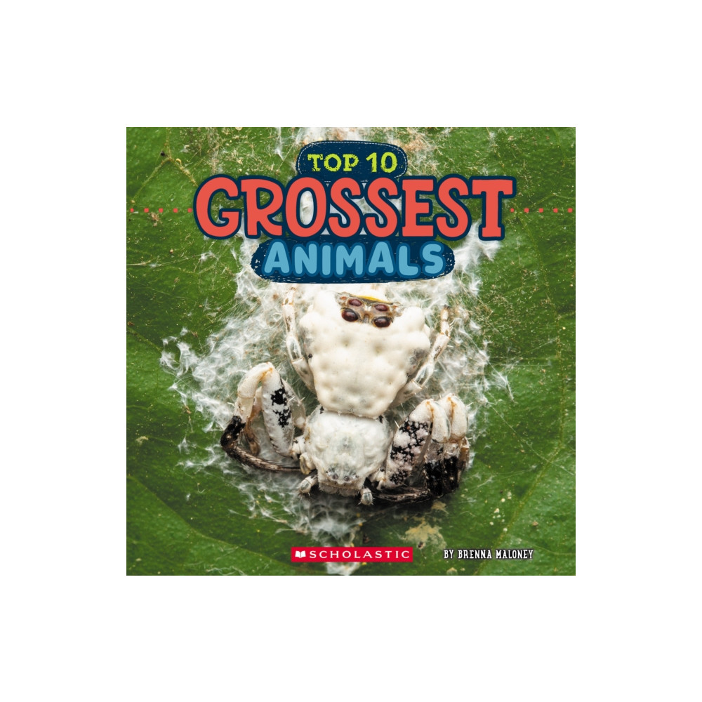Produktbild för Grossest Animals (Wild World: Top 10) (häftad, eng)