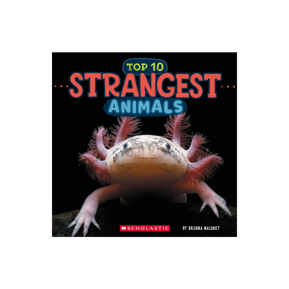 Produktbild för Strangest Animals (Wild World: Top 10) (häftad, eng)