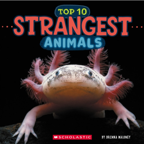 Not Stated Strangest Animals (Wild World: Top 10) (häftad, eng)
