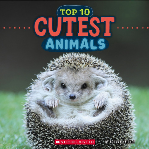Not Stated Cutest Animals (Wild World: Top 10) (häftad, eng)