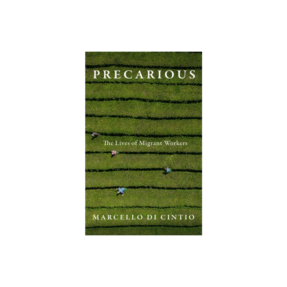 Produktbild för Precarious (häftad, eng)