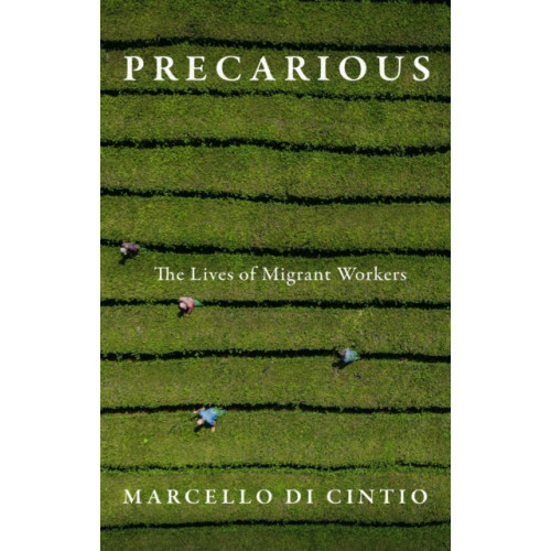 Biblioasis Precarious (häftad, eng)