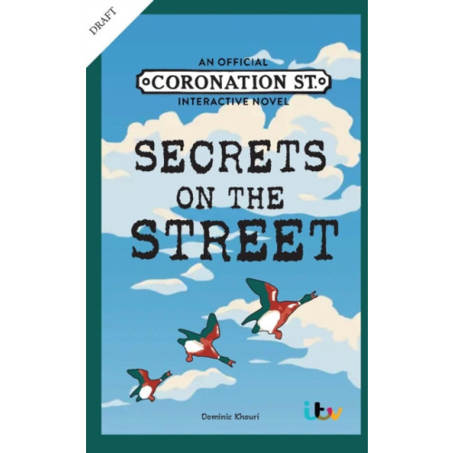 Octopus publishing group Secrets on the Street (häftad, eng)