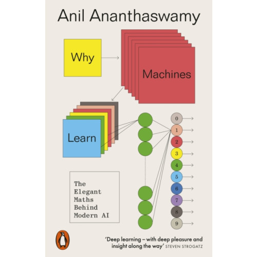 Penguin books ltd Why Machines Learn (häftad, eng)