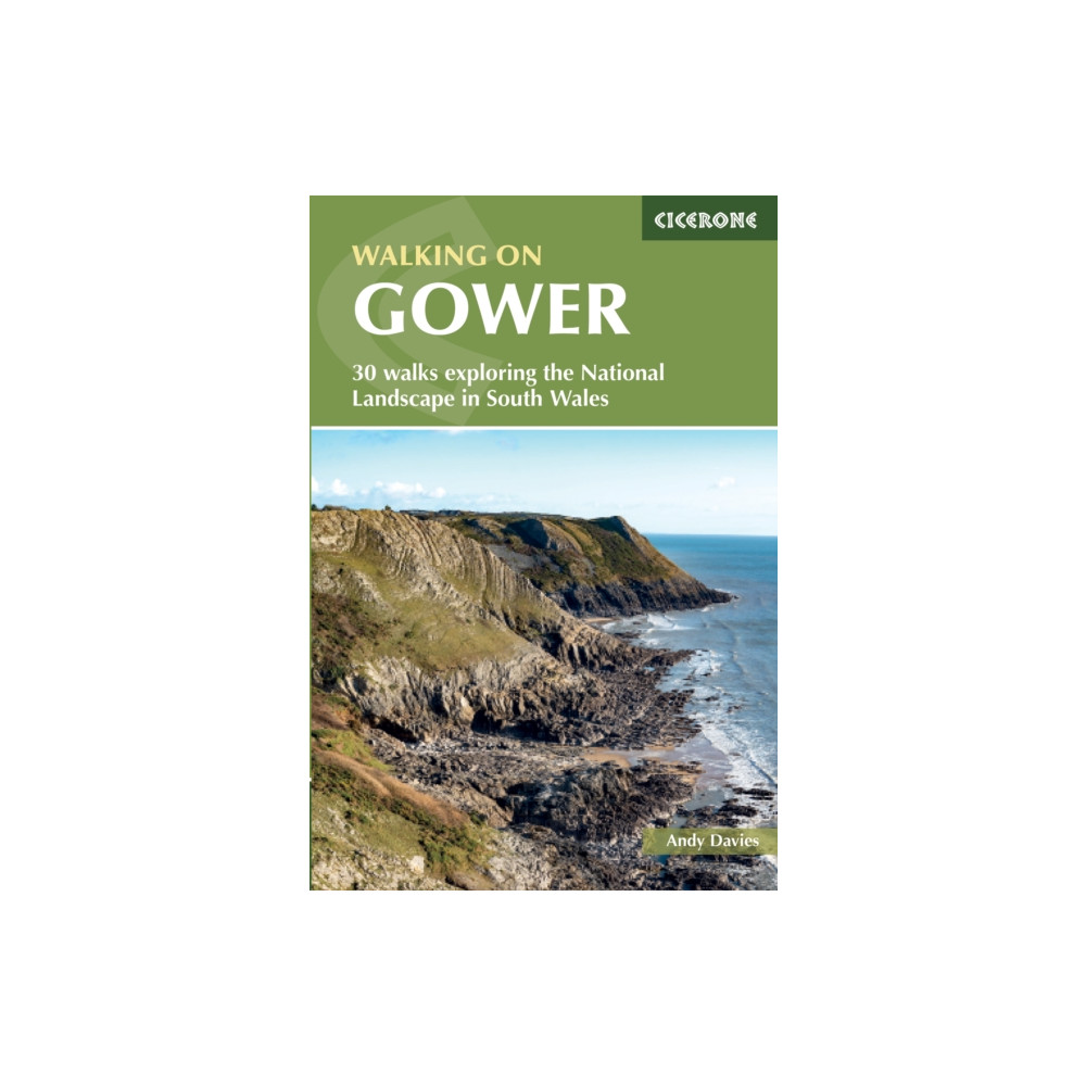 Produktbild för Walking in Gower (häftad, eng)
