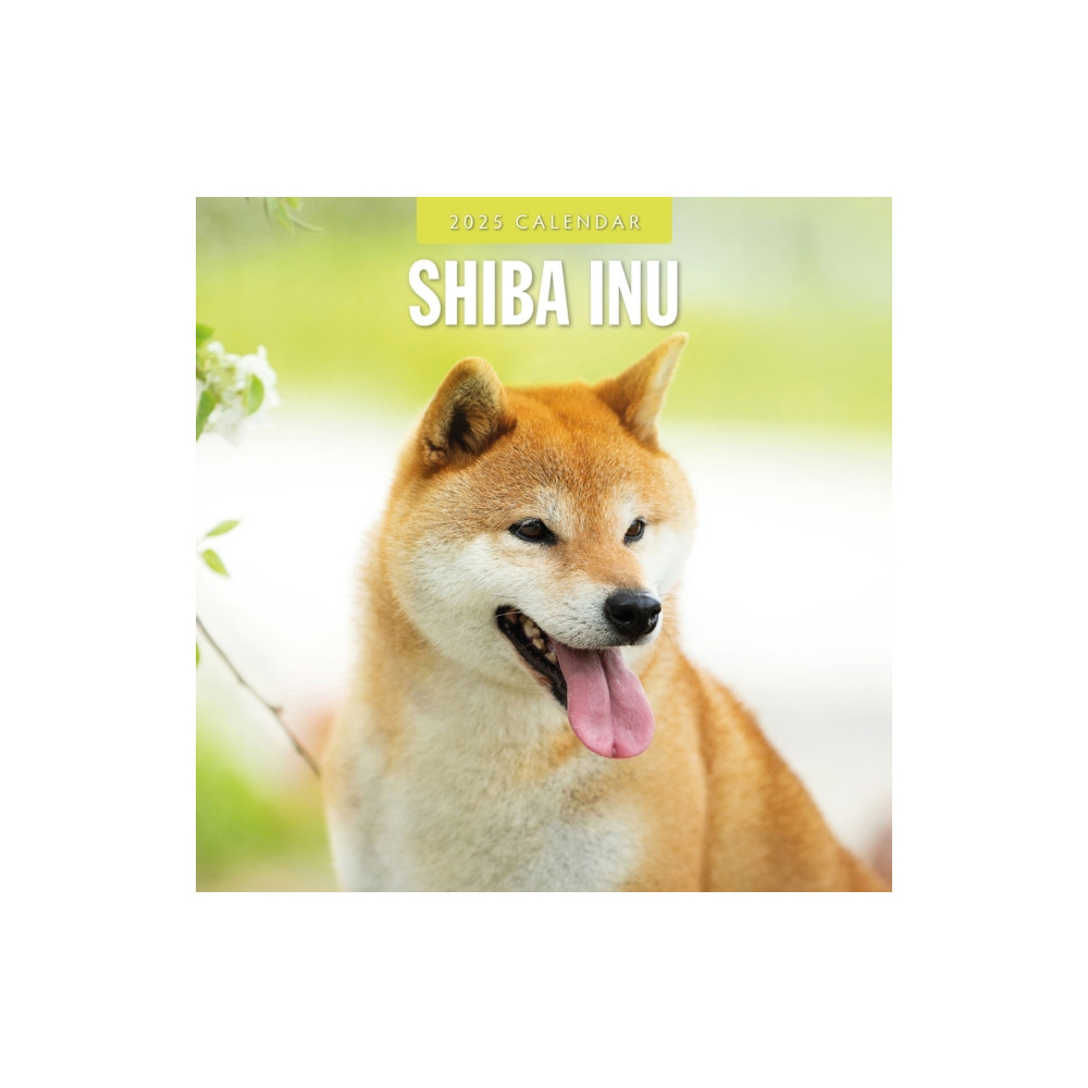 Produktbild för Shiba Inu 2025 Square Wall Calendar (häftad, eng)