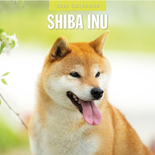 Red Robin Publishing Ltd. Shiba Inu 2025 Square Wall Calendar (häftad, eng)