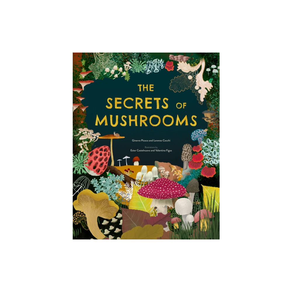 Produktbild för The Secrets of Mushrooms (inbunden, eng)