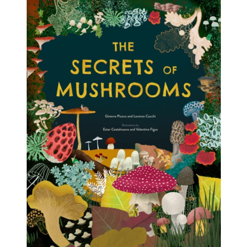 Hachette Children's Group The Secrets of Mushrooms (inbunden, eng)