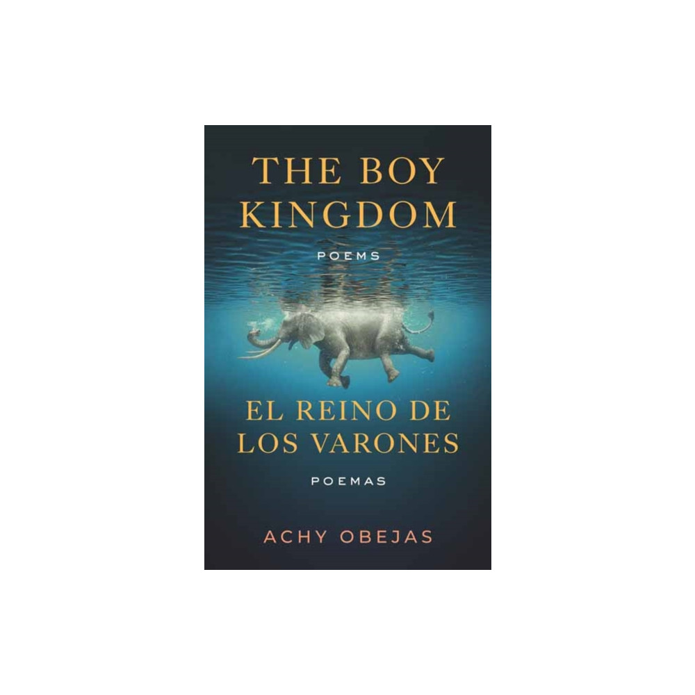 Produktbild för Boy Kingdom / El reino de los varones,The (häftad, eng)