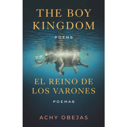 Beacon Press Boy Kingdom / El reino de los varones,The (häftad, eng)