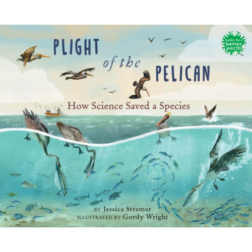 Holiday House Inc Plight of the Pelican (inbunden, eng)