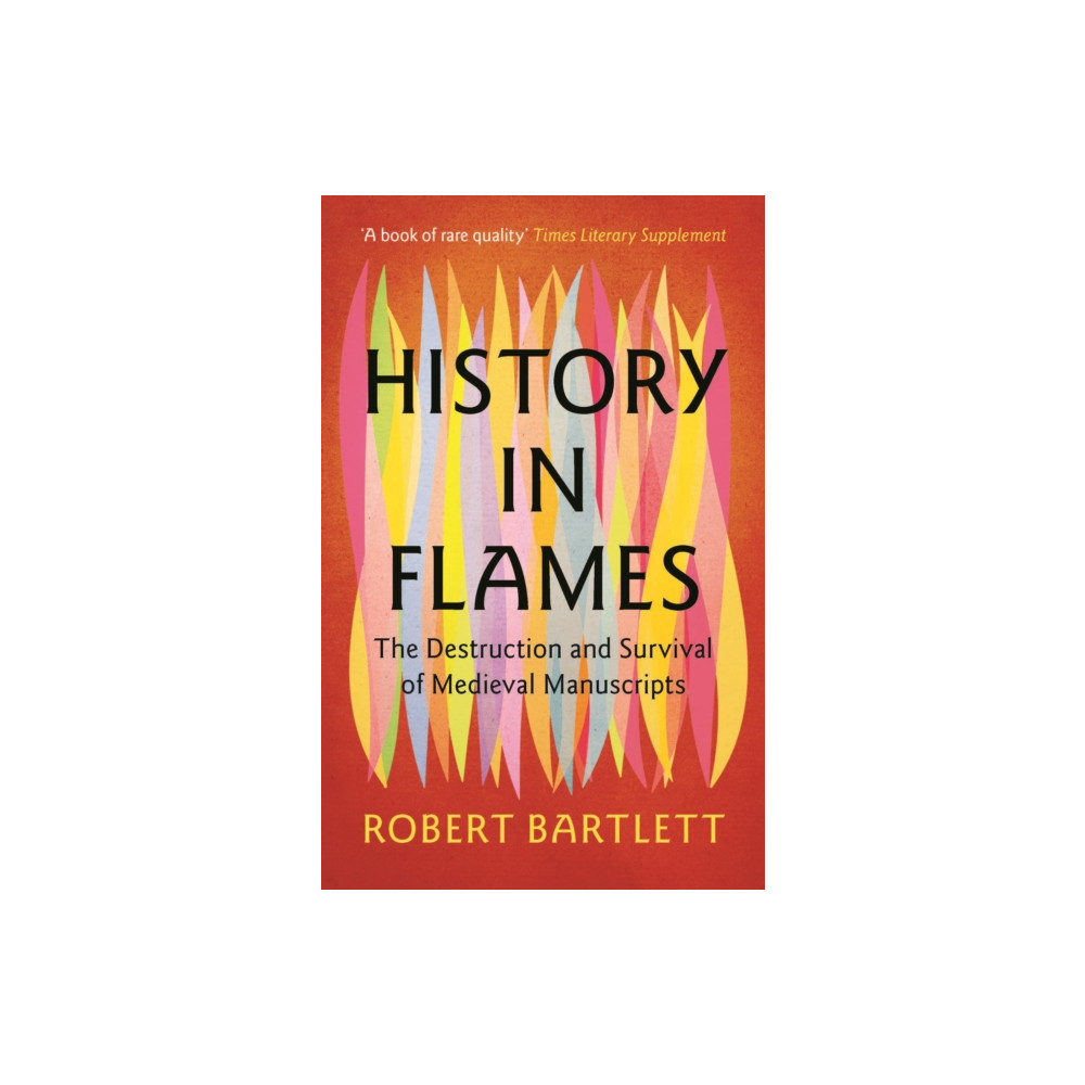 Produktbild för History in Flames (häftad, eng)